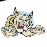 Barbara Webster Elementary Academy of Sports and Health Science - @barbarawebsterelementary - Instagram