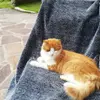 barbarawechselber - @barbarawechselber - TikTok