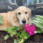 Barbara Weddel - @weddelbc - Instagram