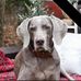Barbara Weekley Smitz - Facebook
