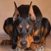 Barbara Werkley - Facebook