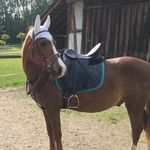 Barbara Wehner - @wehner85 - Instagram