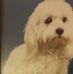Barbara Wehner - Facebook