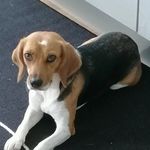 Barbara Wehner - @barbarawehner37 - Instagram