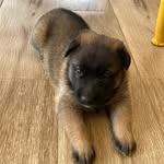Barbara van der Weiden - @barbaravanderweiden - Instagram