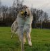 Barbara Wehde - Facebook