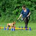Barbara Weidinger - Facebook