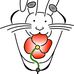Dr. vet. Barbara Weidinger - Facebook