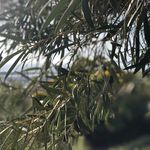 BarbaraWeidner - @barbara_b_weidner - Instagram