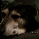 Barbara Basco Weigel - @byweigel - Instagram