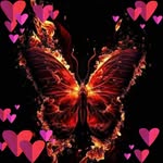 Barbara Weigelt - @weigeltbarbara - Instagram