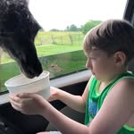 Barbara Weitkamp - @limeisoydal54 - Instagram