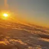 barbarakamp - @barbarakamp - TikTok