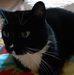 Barbara Weimer - Facebook