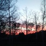 barbara weimer - @bweimer - Instagram