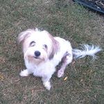 Barbara Weimer - @tanacodie22 - Instagram