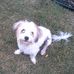 Barbara Weimer - Facebook