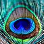 Barbara Weinmann - @barbaraweinmannkreativ - Instagram