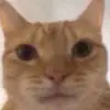 Barbara Weinstigert - @barbara.weinstige - TikTok