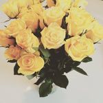 Barbara Weinberger - @barbara.weinberger.777 - Instagram