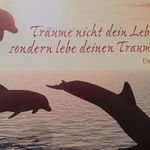 Barbara Weingart - @barbara_weingart - Instagram