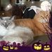 Barb Weinrich - Facebook