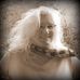 Barbara Weise - Facebook