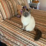 BarbaraAnne Weisgerber - @barbaraanneweisgerber - Instagram