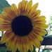 Barb Weishaar - Facebook