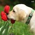 Barbara Weishaar - Facebook
