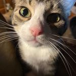 Barbara Wellman Parkey - @rexerollsewsllc - Instagram