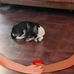 Barbara Wellman - Facebook