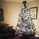 Barbara Welsh - @barbara.welsh.144734 - Instagram