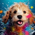Barbara Welsh - @tobydog2001 - Instagram
