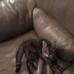Barbara Welty - Facebook