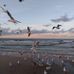 Basia Wendland - Facebook