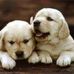 Barbara Wendorf - Facebook