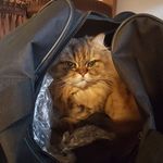 Barbara Wendt - @babs.6661 - Instagram
