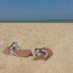 Barbara Wendt - @bwvdp - Instagram