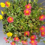 Barbara Wendt - @wendt3551 - Instagram