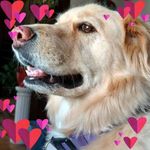 Barbara Wenner - @wenner686 - Instagram