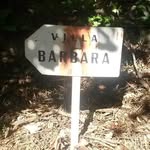 Barbara Wenner - @wennerbarbara - Instagram