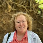 Barbara Werfel - @barbwerfel.creates - Instagram