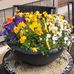 Barbara Werth - Facebook