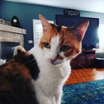 Barbara Wessel - @barbara_j_wessel - Instagram
