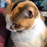 Barbara Wessel - @chandogb1928gmail.com7 - Instagram
