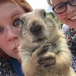 Barbara Wessels - @wesselsbarbara - Instagram