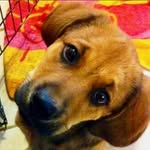 Barbara Westbrook Leonard - @aimwest5 - Instagram