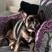 Barbara Westcott - Facebook