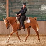 Barbara Schlor Westernreiten - @barbaraschlorwesternreiten - Instagram